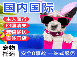 大同云冈机场托运国际宠物托运 【国